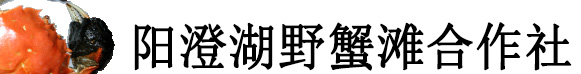 苏州阳澄湖大闸蟹养殖野蟹滩合作社
